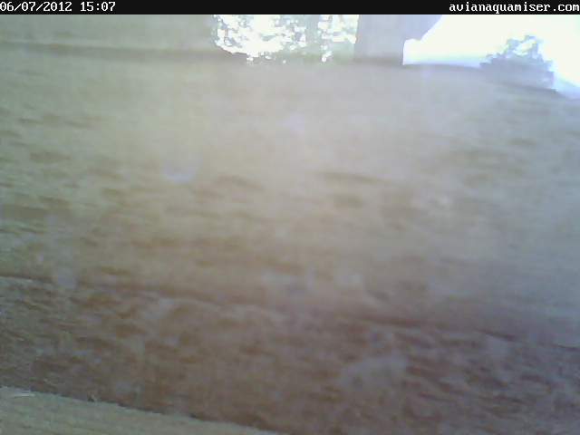 Chicken cam
